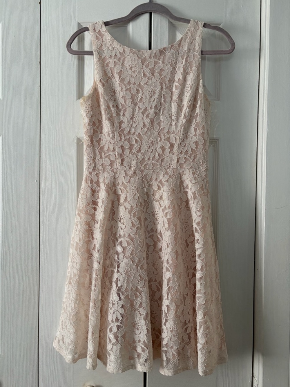 Speechless Blush Lace Fit-and-Flare Dress